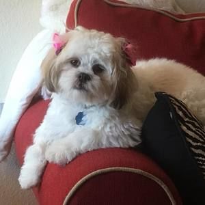 Meet your Posher, Mary-frances